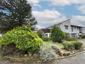 Photo 41- click for photo gallery